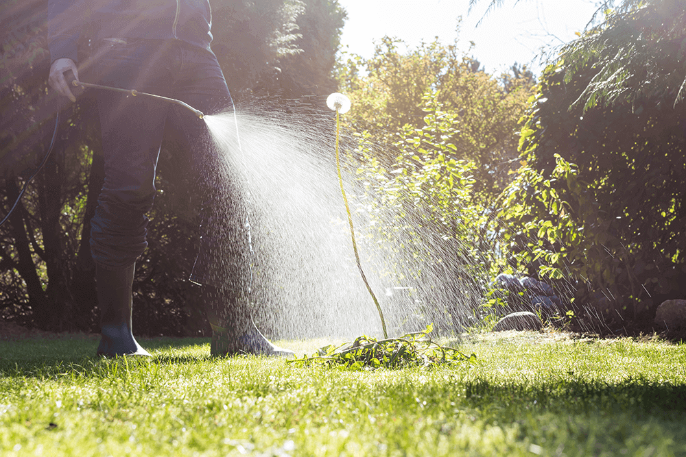roundup cancer lawsuit